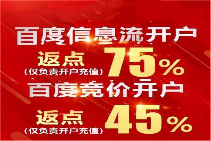 竞价排名案例：跨平台推广效果分析
